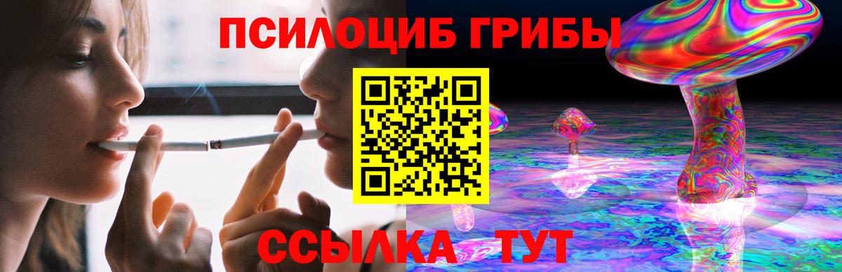 Барабинск  Псилоцибиновые грибы Psilocybine cubensis  Вход с VPN 